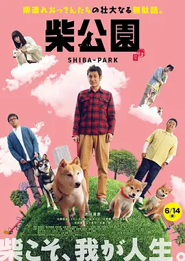 狂欲总裁