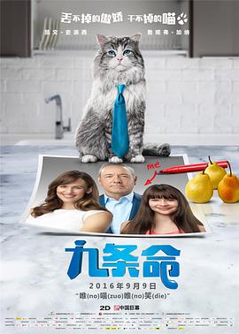 成人一区专区在线观看