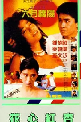 黄色三极片