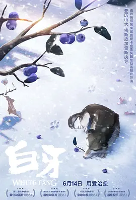 91看片网页版