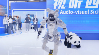 久久精品国产免费